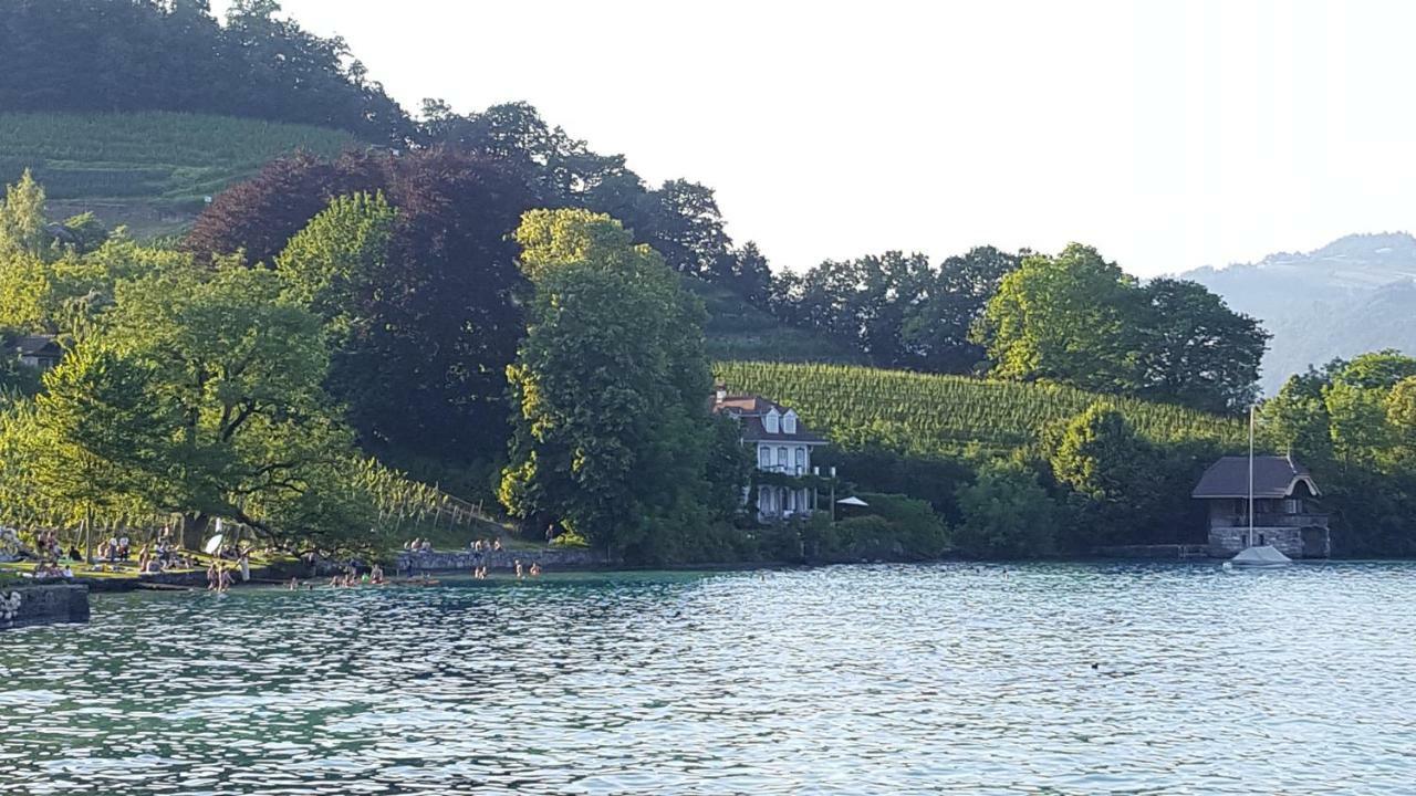 Ferienwohnung Ankerplatz Spiez Dış mekan fotoğraf